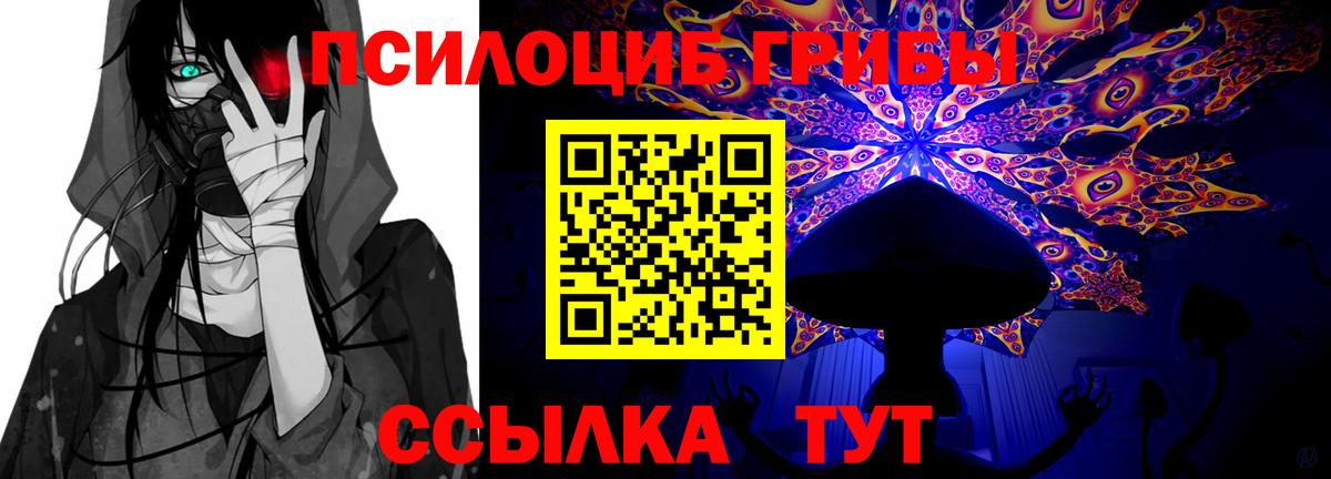 Псилоцибиновые грибы прущие грибы Альметьевск