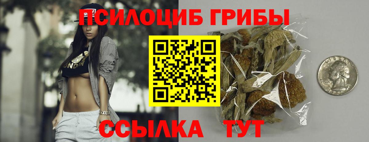 Псилоцибиновые грибы MAGIC MUSHROOMS  Альметьевск  Псилоцибиновые грибы GOLDEN TEACHER 